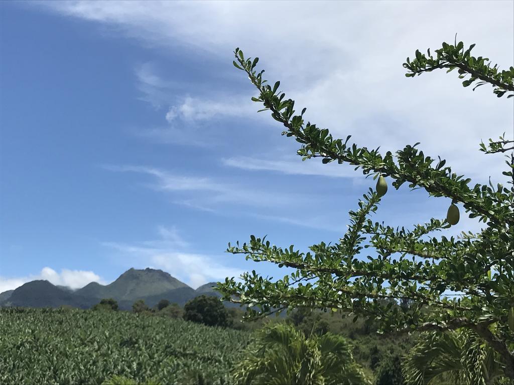 Residence Paradis Tropical バステール エクステリア 写真