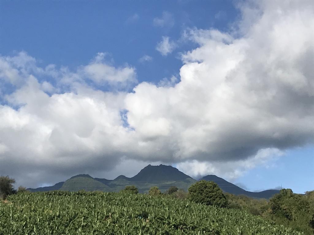 Residence Paradis Tropical バステール エクステリア 写真